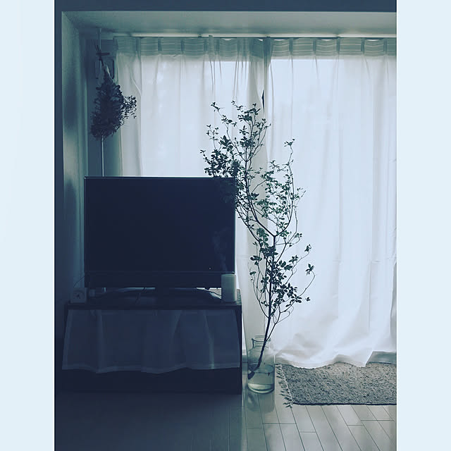 shizukaさんの実例写真