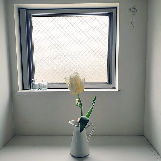 wanidaさんの実例写真