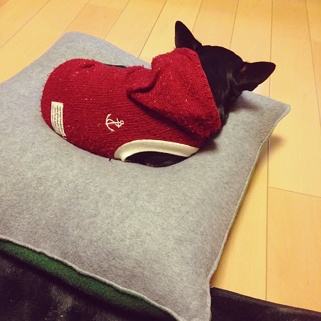 yokkoさんの実例写真
