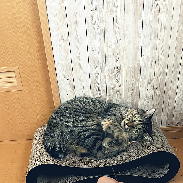 Mさんの実例写真