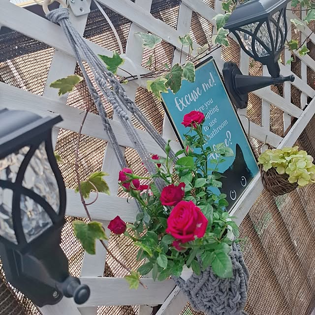 moko.7525himeさんの部屋