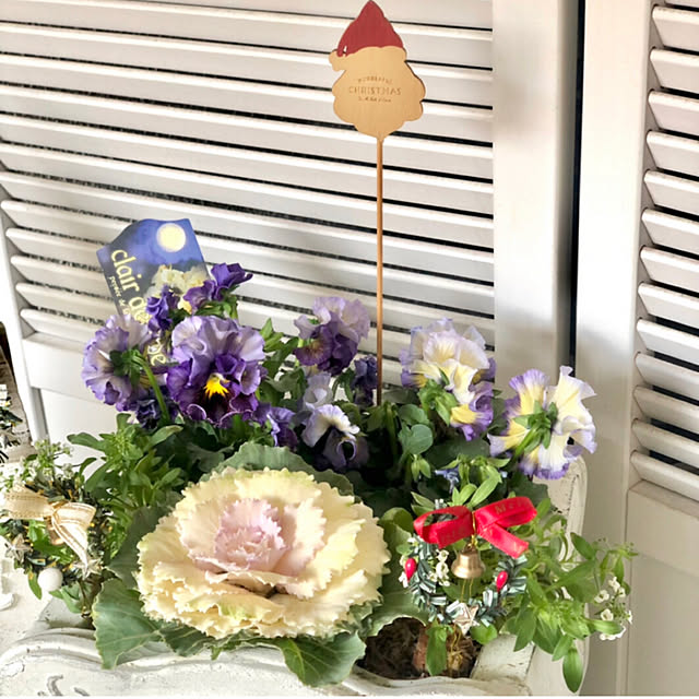 cocoさんの部屋
