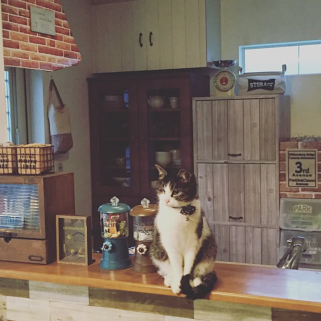 Rettiさんの実例写真