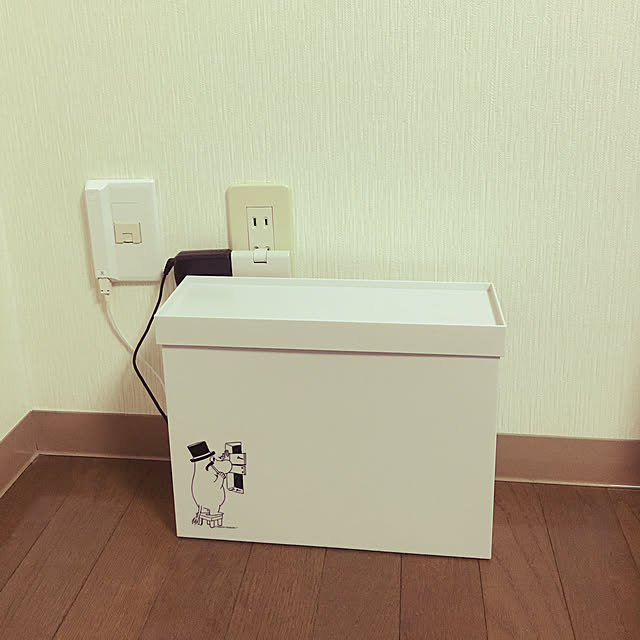 chamy_muumitさんの実例写真