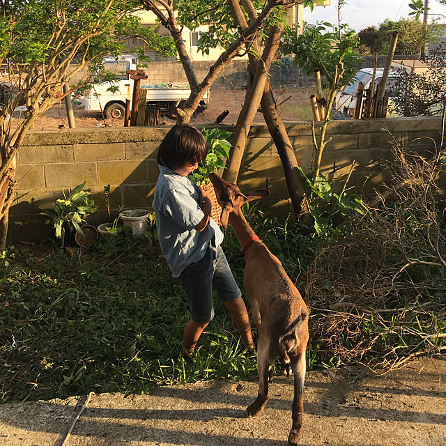 nishibaruyaさんの実例写真