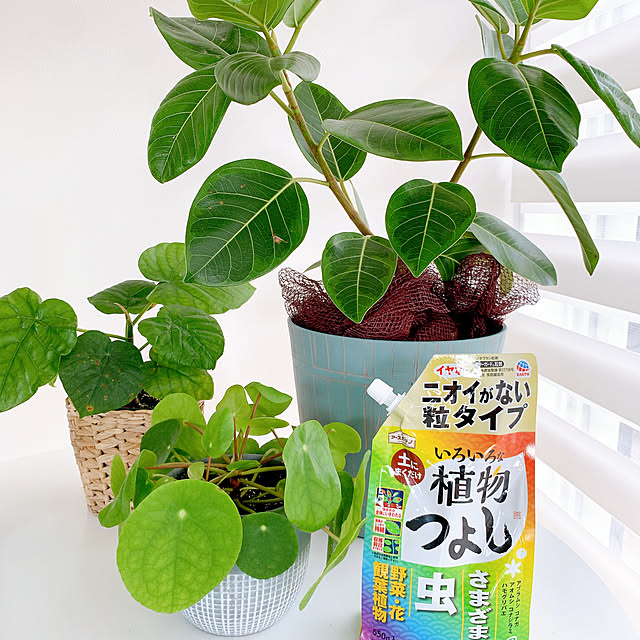suzumaruさんの部屋