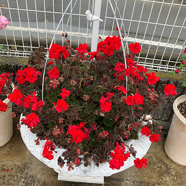 AYUKOさんの実例写真