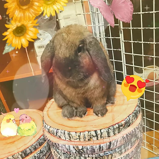 mariaさんの実例写真