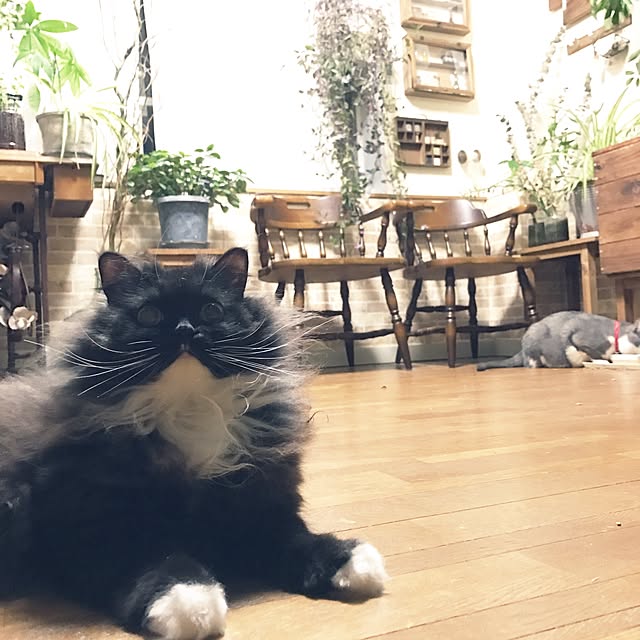 mucc08さんの実例写真