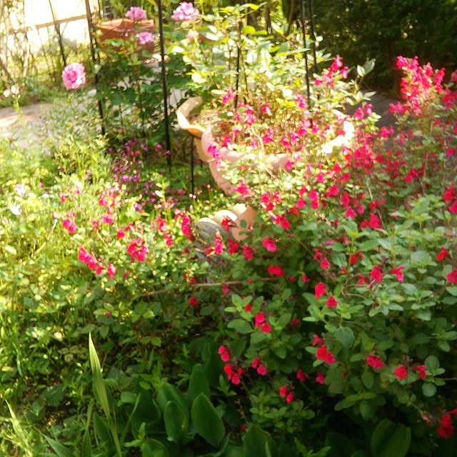 Tomopさんの実例写真