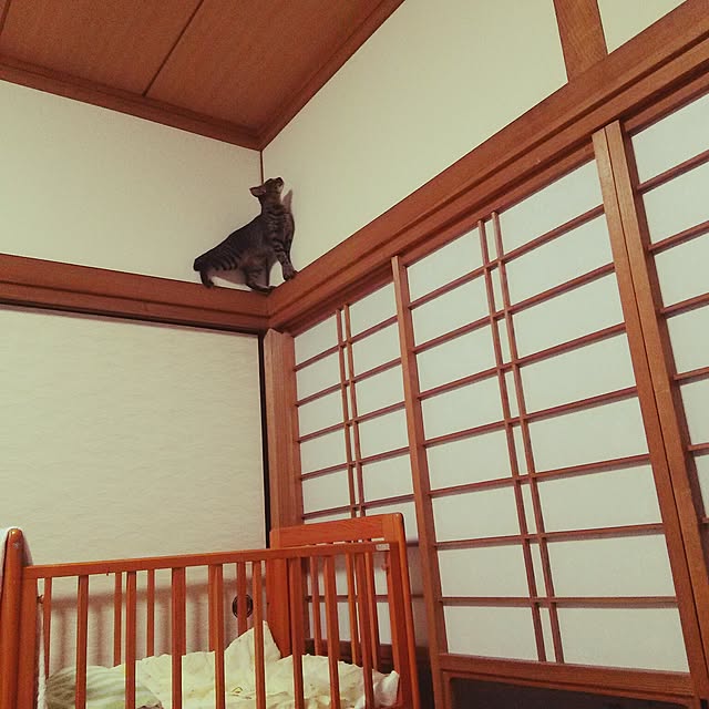 kuromiさんの実例写真