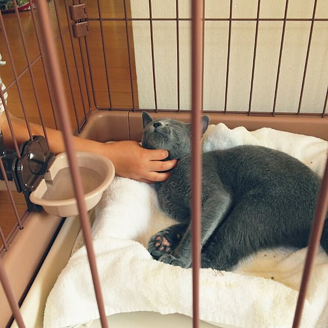 tittaさんの実例写真