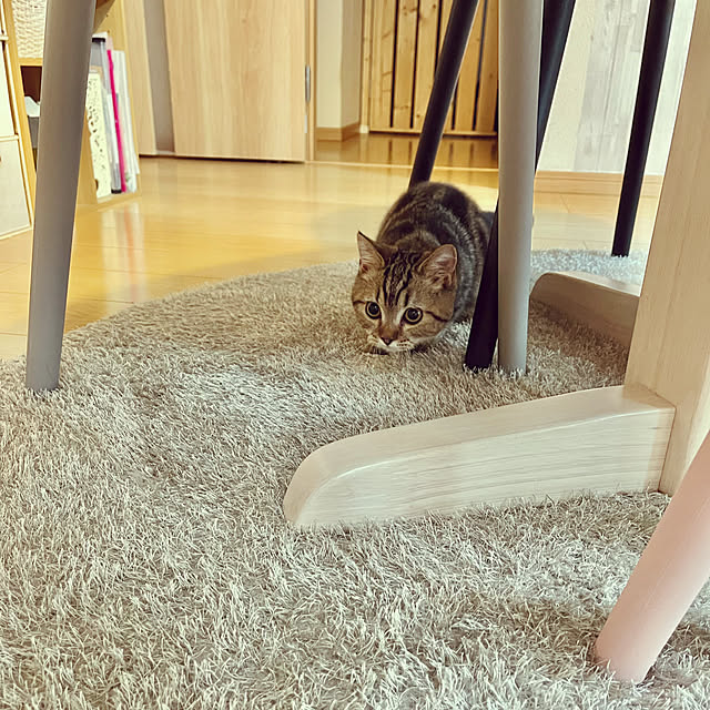 chiiさんの実例写真