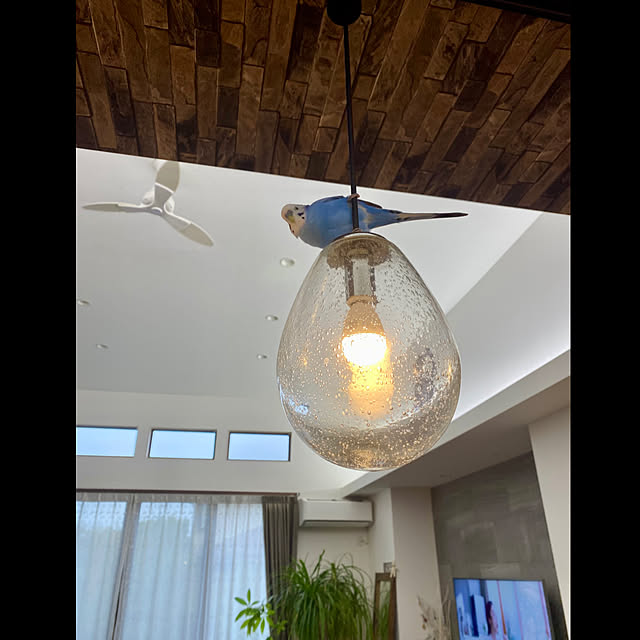 cocochiさんの部屋