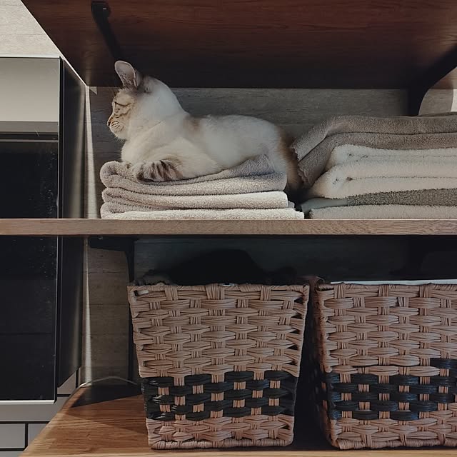 Atelier_tamakiさんの実例写真