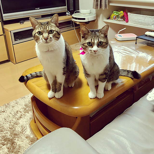 nnmmさんの実例写真