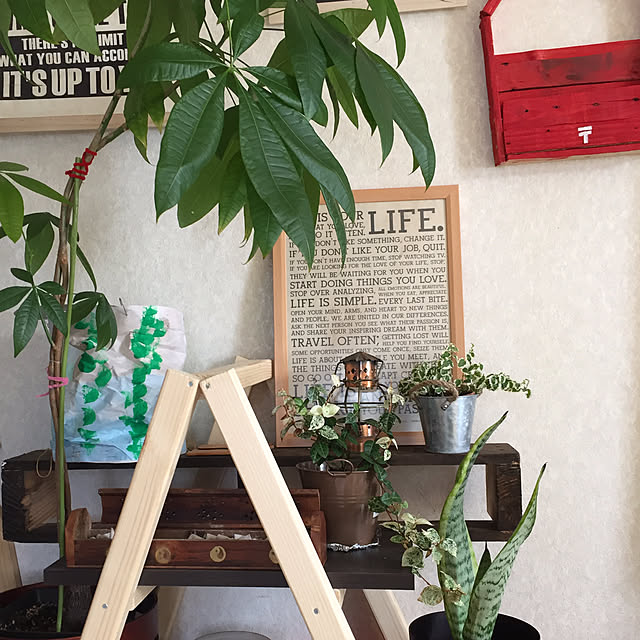 Kuuさんの実例写真