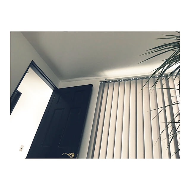 Yokoさんの実例写真