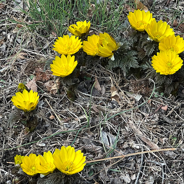 mizucchiさんの部屋