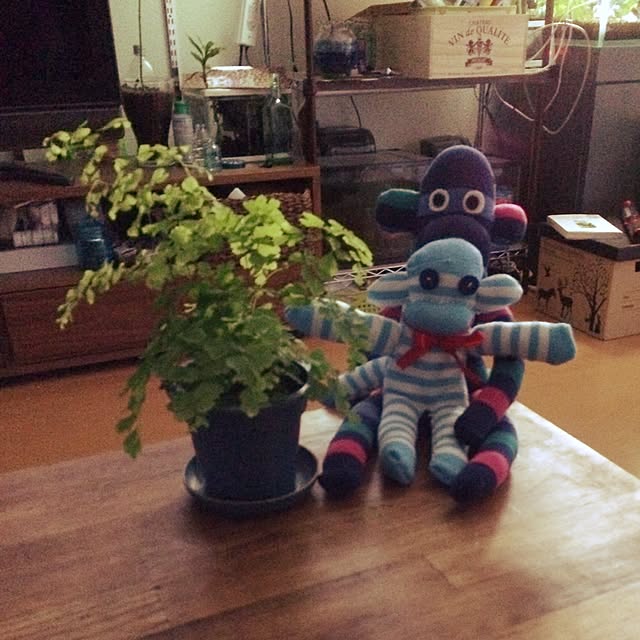 505さんの実例写真
