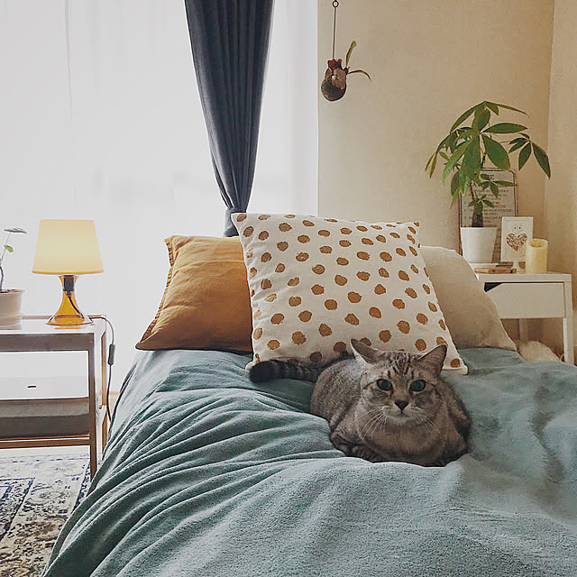 ineko_kさんの実例写真