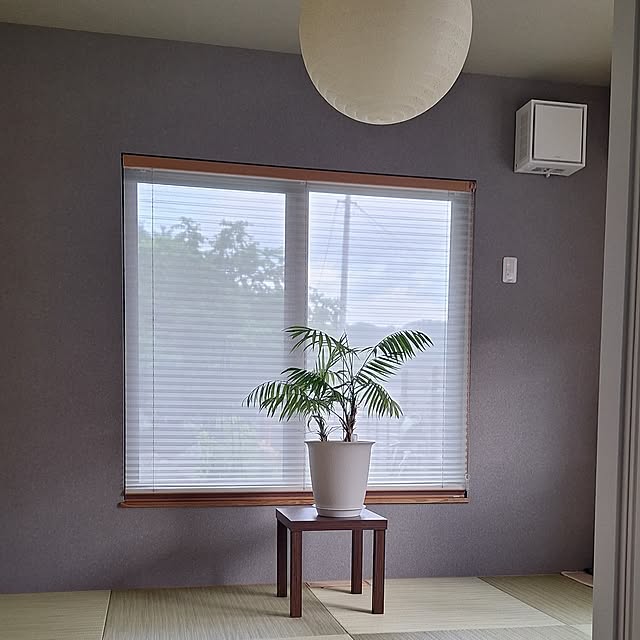 toramonaさんの部屋