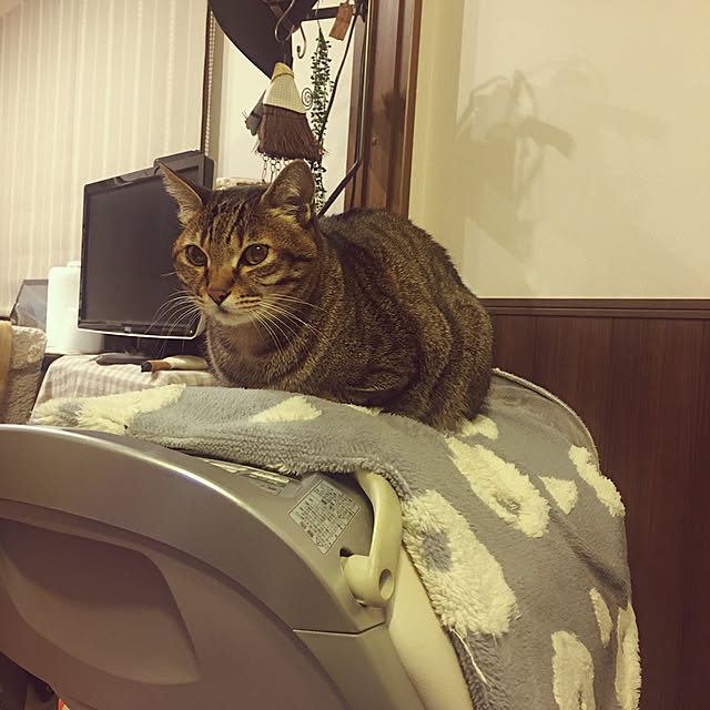 chikaさんの実例写真