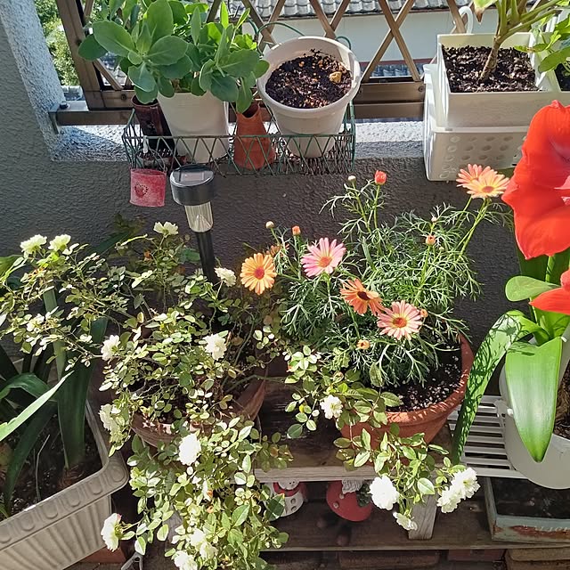 yukkoさんの部屋