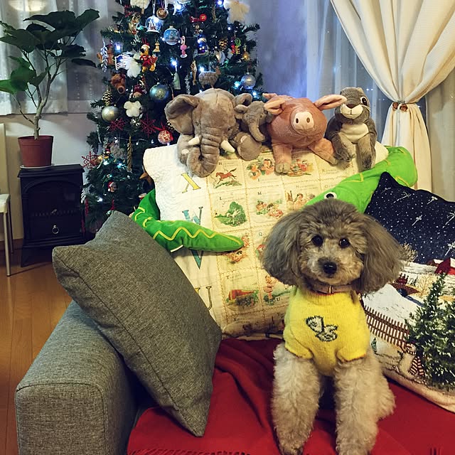 mom39さんの実例写真