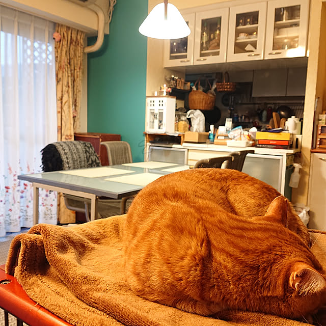 okyosan101さんの実例写真