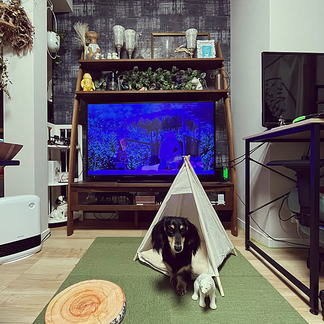 uninekoさんの実例写真