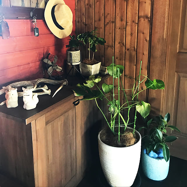 cococoさんの実例写真