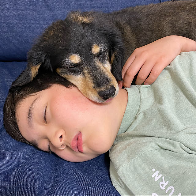 ohanaさんの実例写真