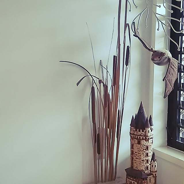 spinetailさんの実例写真