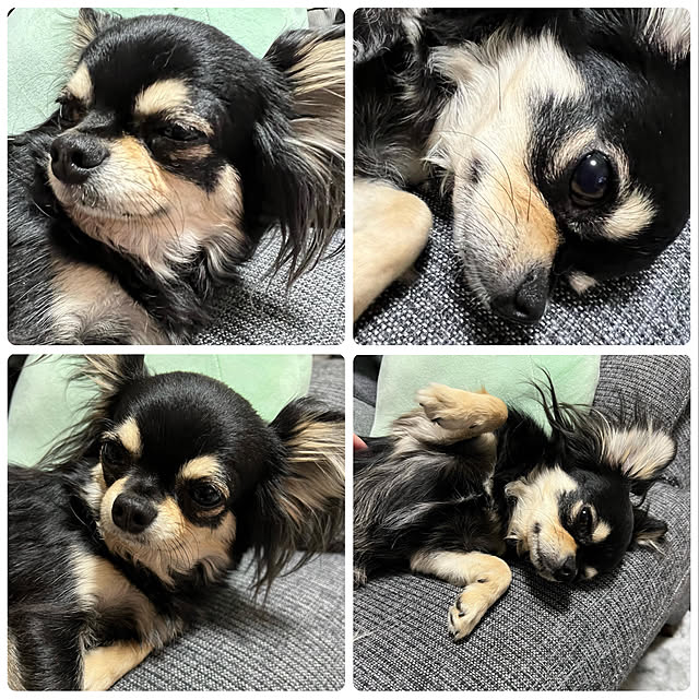 実例写真