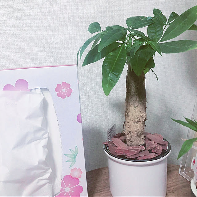 AAAさんの実例写真