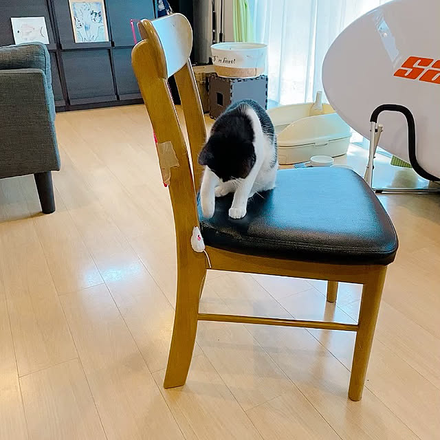 viraさんの実例写真