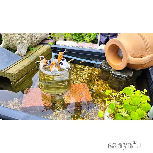 saayaさんの実例写真