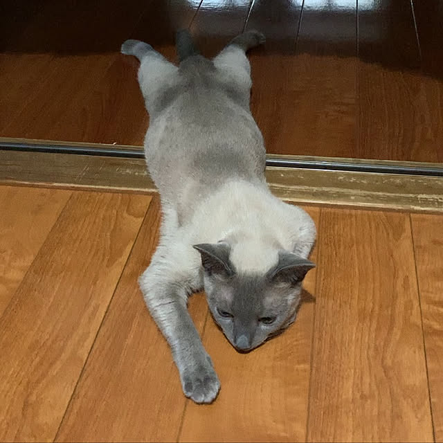 nonさんの実例写真