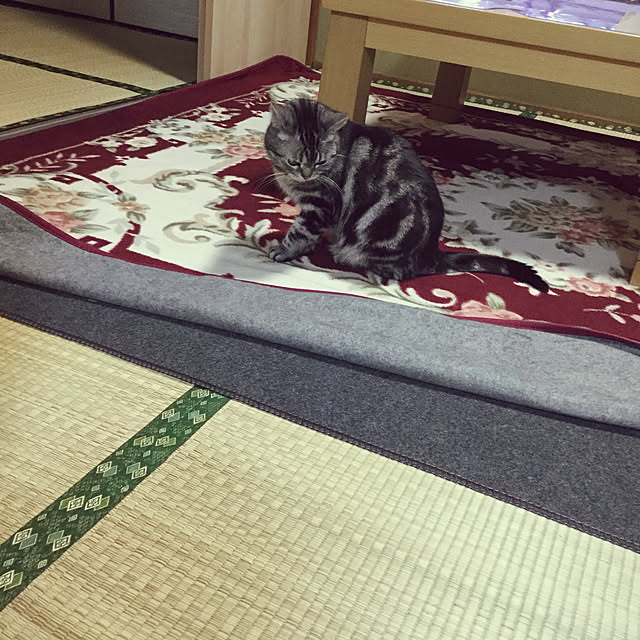 richanさんの実例写真