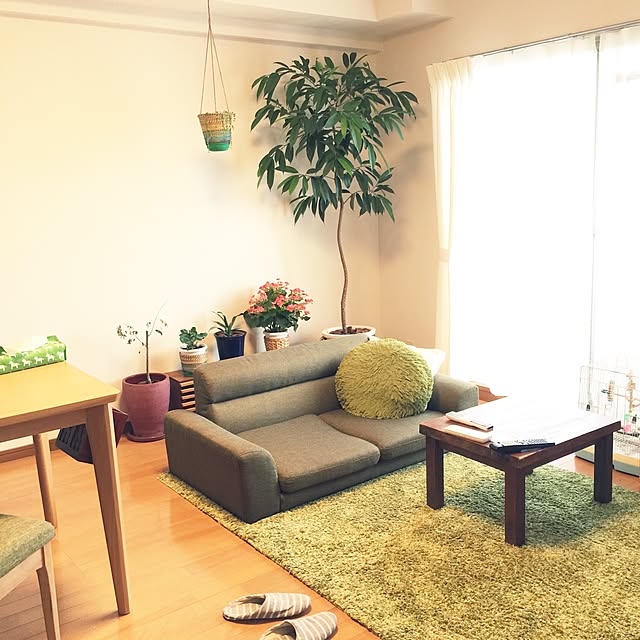 shirokinaさんの実例写真