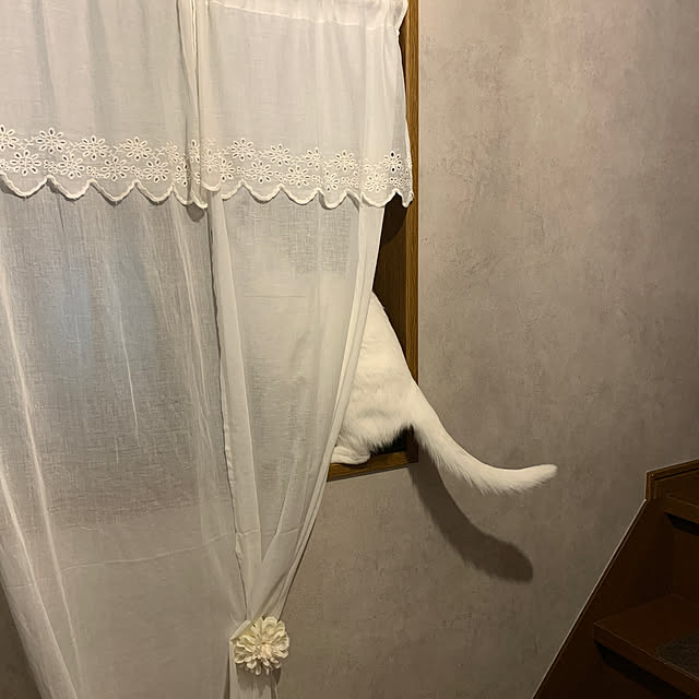 keiさんの実例写真