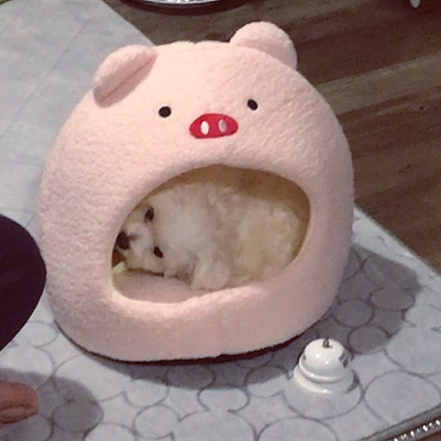 mimiさんの実例写真