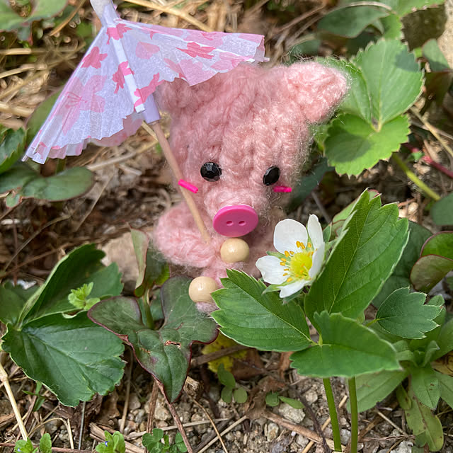 manduonmaさんの部屋