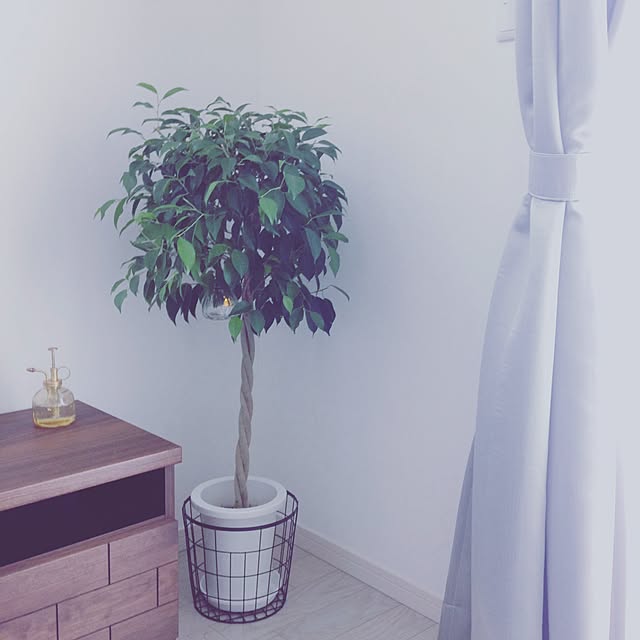 mi.reiさんの実例写真