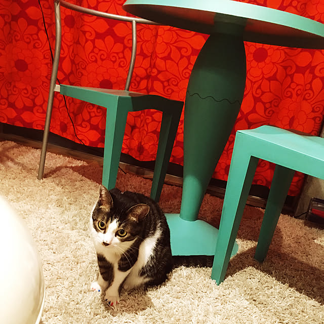 maruhakuchiさんの実例写真