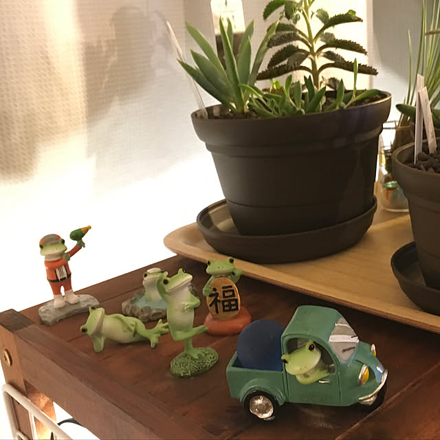 Michiさんの実例写真