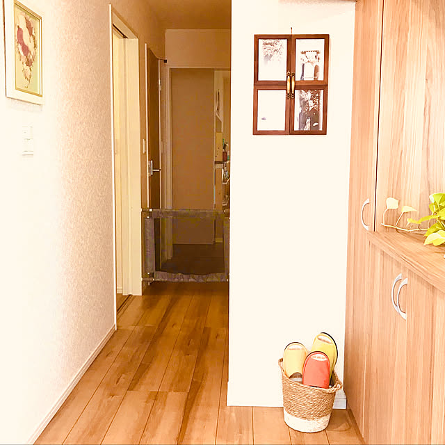DIY/セリア/ダイソー/観葉植物/部屋全体のインテリア実例 - 2020-10-11 19:22:42