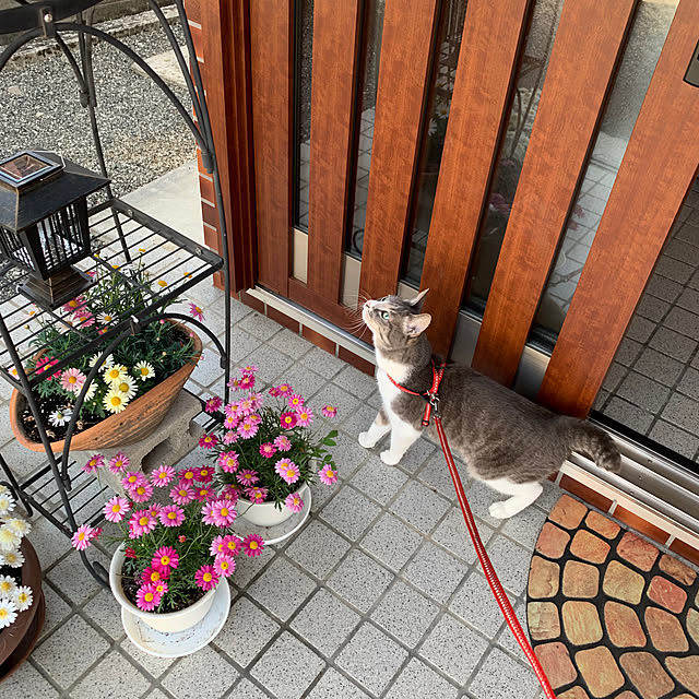 hachiさんの実例写真