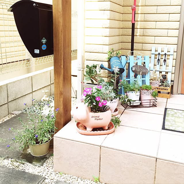 sou721さんの実例写真